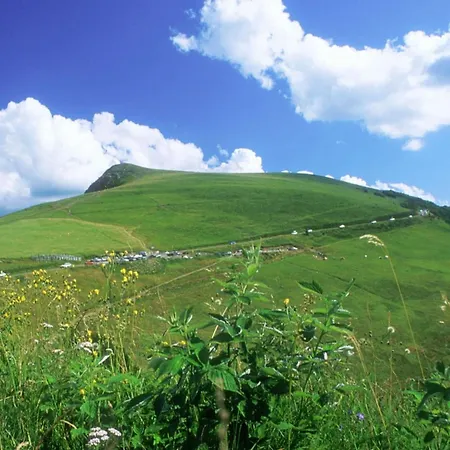 Duplex Facing The Of