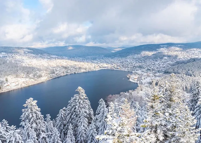 Apartmán Duplex Facing The Of Gérardmer