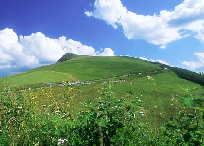 Duplex Facing The Of